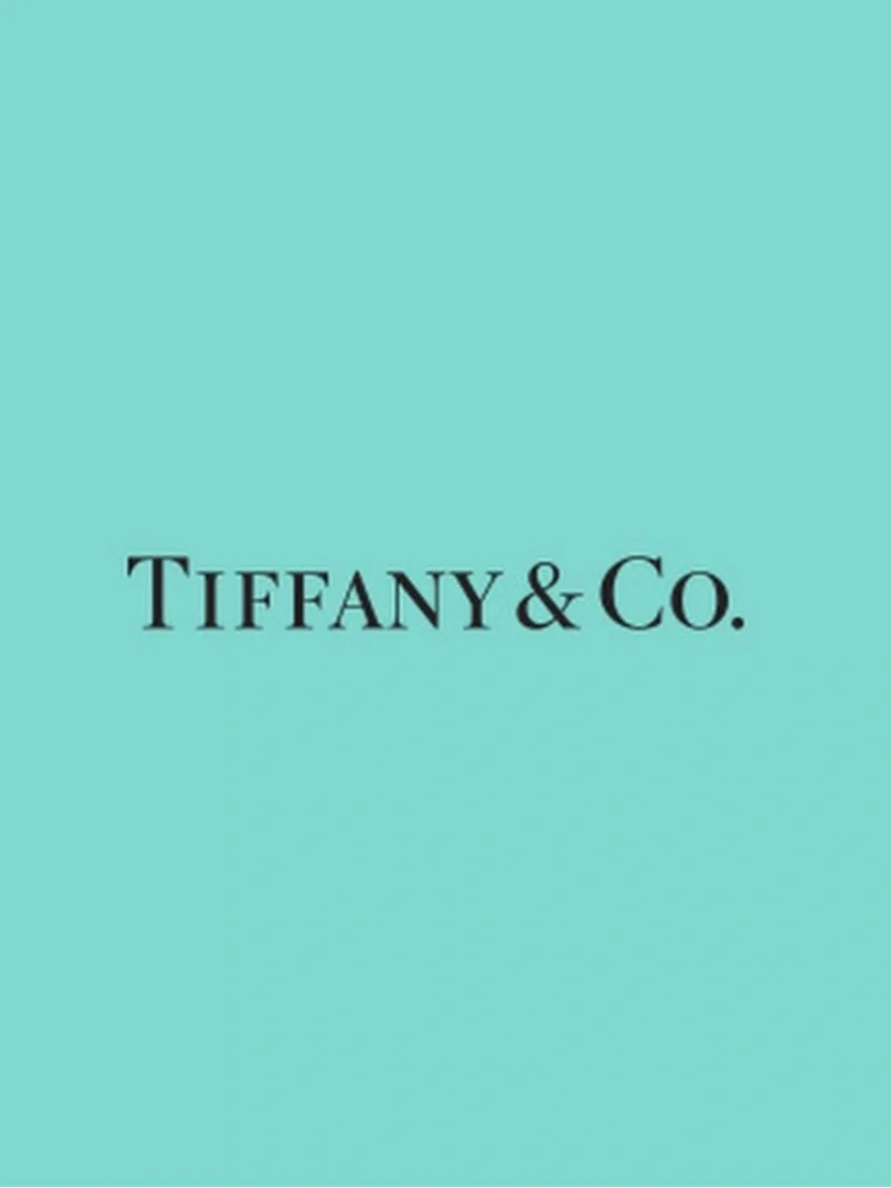 Tiffany & Co 925 Sterling Silver 16